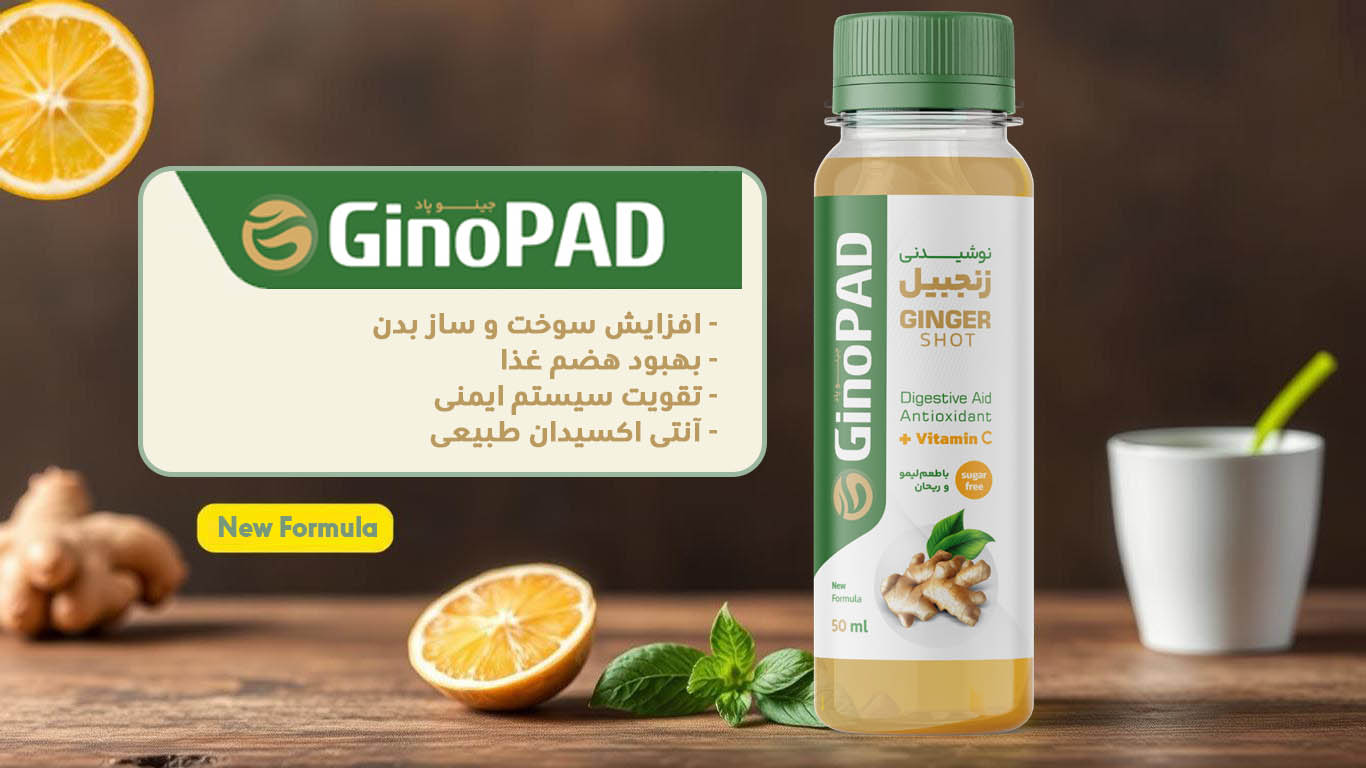 GinoPAD Banner 1